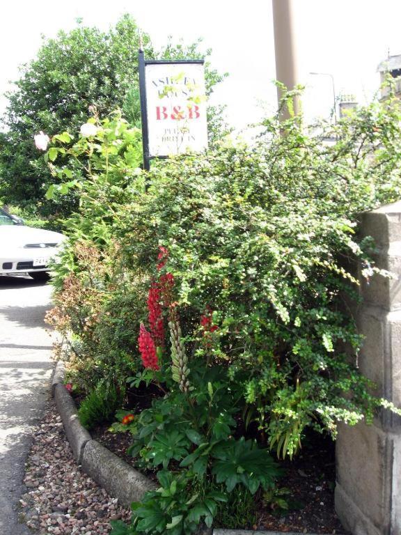 Bed and Breakfast Ashley House Dundee Zewnętrze zdjęcie