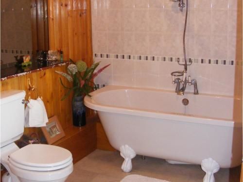 Bed and Breakfast Ashley House Dundee Zewnętrze zdjęcie